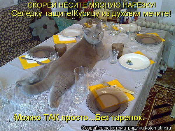 СКОРЕЙ НЕСИТЕ МЯСНУЮ НАРЕЗКУ! Селедку тащите!Курицу из духовки мечите! Можно ТАК просто...Без тарелок... Котоматрица: СКОРЕЙ НЕСИТЕ МЯСНУЮ НАРЕЗКУ! Селедку тащите!Курицу из духовки мечите! Можно ТАК просто...Без тарелок.