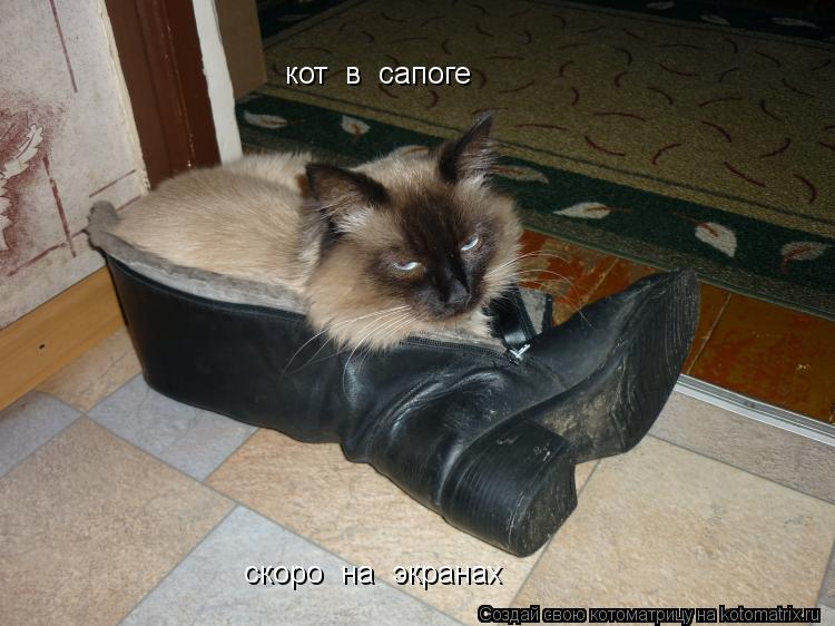 кот в сапоге скоро на экранах... Котоматрица: кот в сапоге скоро на экранах