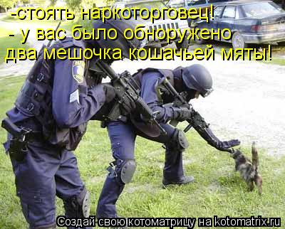 -стоять наркоторговец! - у вас было обноружено два мешочка кошачьей мяты!... Котоматрица: -стоять наркоторговец! - у вас было обноружено два мешочка кошачьей мяты!