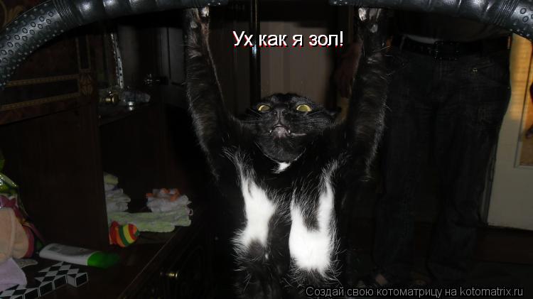 Ух как я зол! Ух как я зол! Ух как я зол!... Котоматрица: Ух как я зол! Ух как я зол! Ух как я зол!