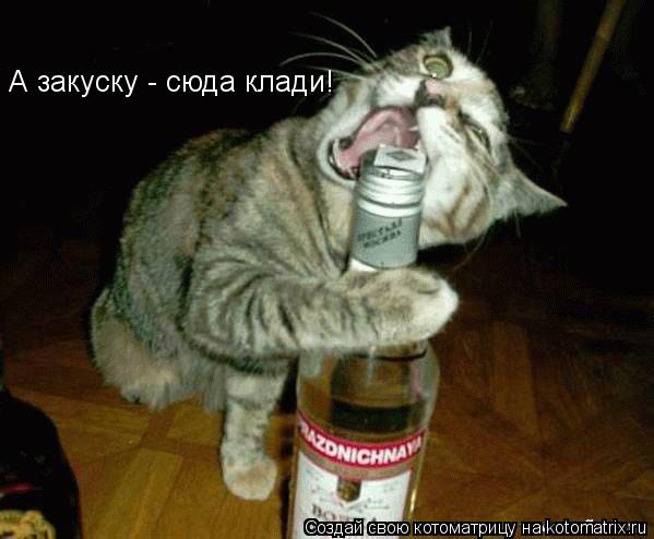 А закуску - сюда клади!... Котоматрица: А закуску - сюда клади!