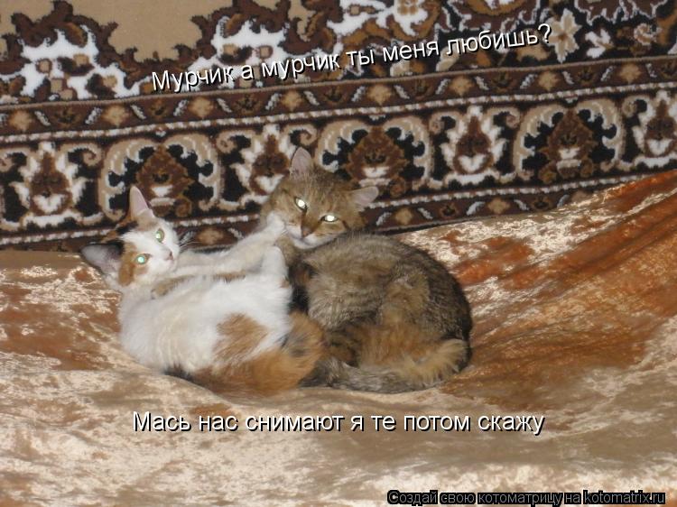 Мурчик а мурчик ты меня любишь? Мурчик а мурчик ты меня любишь? Мась нас снимают я те потом скажу... Котоматрица: Мурчик а мурчик ты меня любишь? Мурчик а мурчик ты меня любишь? Мась нас снимают я те потом скажу