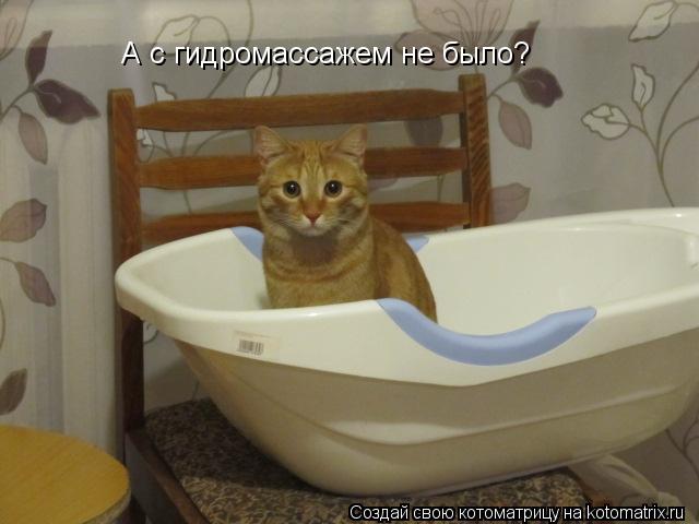 А с гидромассажем не было?... Котоматрица: А с гидромассажем не было?