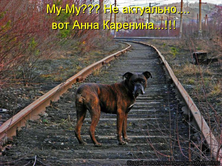 Му-Му??? Не актуально.... вот Анна Каренина...!!!... Котоматрица: Му-Му??? Не актуально.... вот Анна Каренина...!!!