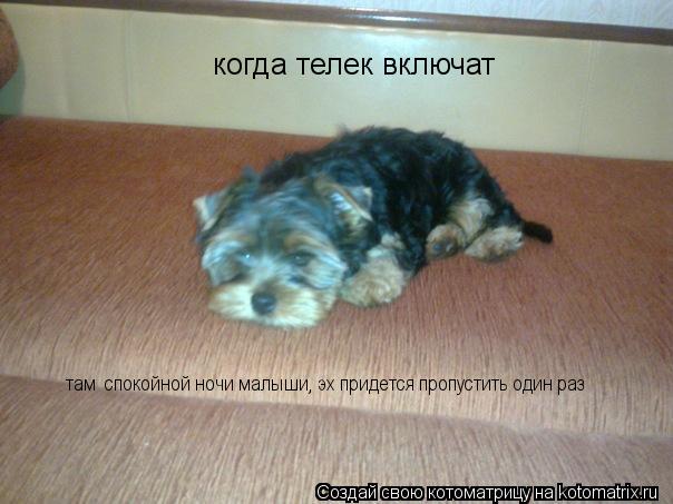 когда телек включат там спокойной ночи малыши, эх придется пропустить один раз... Котоматрица: когда телек включат там спокойной ночи малыши, эх придется пропустить один раз