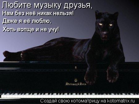 Любите музыку друзья, Нам без неё никак нельзя! Даже я её люблю, Хоть вопще и не учу!... Котоматрица: Любите музыку друзья, Нам без неё никак нельзя! Даже я её люблю, Хоть вопще и не учу!
