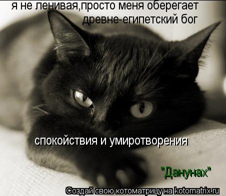 я не ленивая,просто меня оберегает древне-египетский бог спокойствия и умиротворения "Данунах"... Котоматрица: я не ленивая,просто меня оберегает древне-египетский бог спокойствия и умиротворения "Данунах"