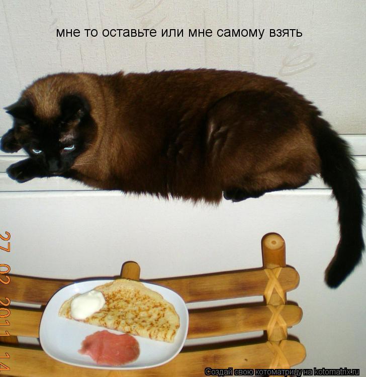 мне то оставьте или мне самому взять... Котоматрица: мне то оставьте или мне самому взять