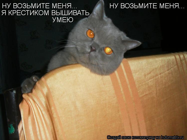 НУ ВОЗЬМИТЕ МЕНЯ... НУ ВОЗЬМИТЕ МЕНЯ... Я КРЕСТИКОМ ВЫШИВАТЬ УМЕЮ... Котоматрица: НУ ВОЗЬМИТЕ МЕНЯ... НУ ВОЗЬМИТЕ МЕНЯ... Я КРЕСТИКОМ ВЫШИВАТЬ УМЕЮ