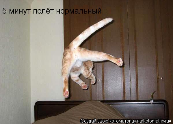 5 минут полёт нормальный... Котоматрица: 5 минут полёт нормальный