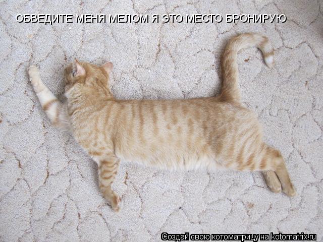 ОБВЕДИТЕ МЕНЯ МЕЛОМ Я ЭТО МЕСТО БРОНИРУЮ... Котоматрица: ОБВЕДИТЕ МЕНЯ МЕЛОМ Я ЭТО МЕСТО БРОНИРУЮ