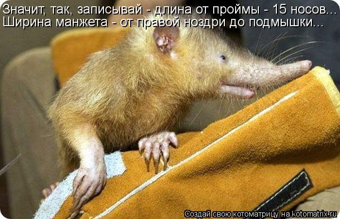 Значит, так, записывай - длина от проймы - 15 носов... Ширина манжета - от правой ноздри до подмышки.... Котоматрица: Значит, так, записывай - длина от проймы - 15 носов... Ширина манжета - от правой ноздри до подмышки...