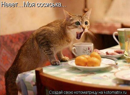 Нееет...Моя сосиська...... Котоматрица: Нееет...Моя сосиська...