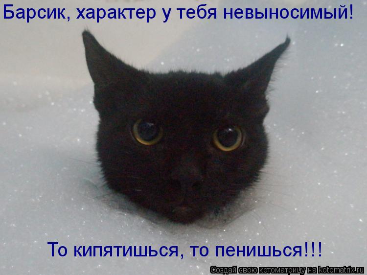 Барсик, характер у тебя невыносимый! То кипятишься, то пенишься!!!... Котоматрица: Барсик, характер у тебя невыносимый! То кипятишься, то пенишься!!!
