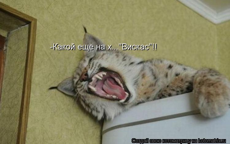 -Какой ещё на х..."Вискас"!!... Котоматрица: -Какой ещё на х..."Вискас"!!