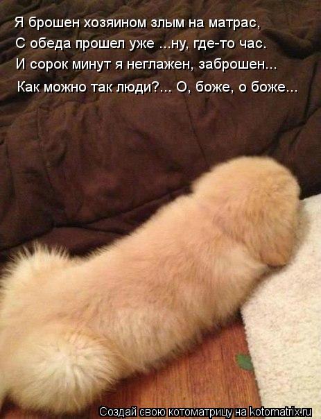 Я брошен хозяином злым на матрас, С обеда прошел уже ...ну, где-то час. И сорок минут я неглажен, заб... Котоматрица: Я брошен хозяином злым на матрас, С обеда прошел уже ...ну, где-то час. И сорок минут я неглажен, заброшен... Как можно так люди?... О, боже, о боже..