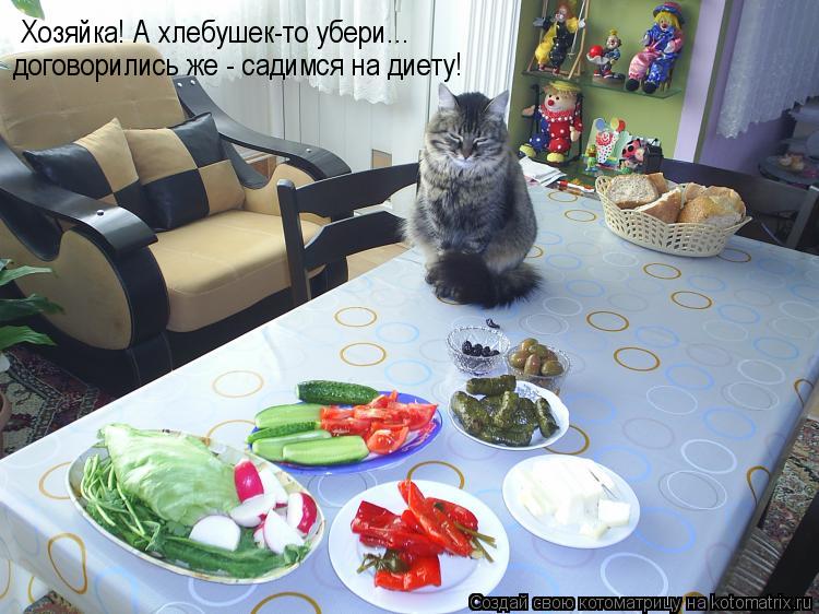 Хозяйка! А хлебушек-то убери... договорились же - садимся на диету!... Котоматрица: Хозяйка! А хлебушек-то убери... договорились же - садимся на диету!