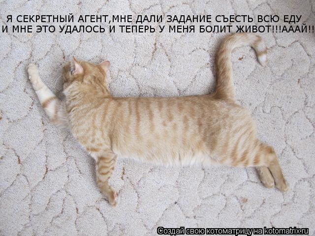 Я СЕКРЕТНЫЙ АГЕНТ,МНЕ ДАЛИ ЗАДАНИЕ СЪЕСТЬ ВСЮ ЕДУ И МНЕ ЭТО УДАЛОСЬ И ТЕПЕРЬ У МЕНЯ БОЛИТ ЖИВОТ!!!ААА... Котоматрица: Я СЕКРЕТНЫЙ АГЕНТ,МНЕ ДАЛИ ЗАДАНИЕ СЪЕСТЬ ВСЮ ЕДУ И МНЕ ЭТО УДАЛОСЬ И ТЕПЕРЬ У МЕНЯ БОЛИТ ЖИВОТ!!!АААЙ!!!