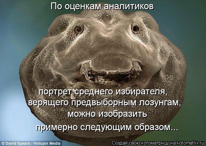 По оценкам аналитиков портрет среднего избирателя, верящего предвыборным лозунгам, можно изоб... Котоматрица: По оценкам аналитиков портрет среднего избирателя, верящего предвыборным лозунгам, можно изобразить примерно следующим образом...