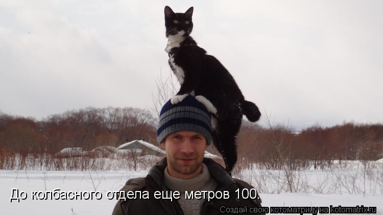 До колбасного отдела еще метров 100.... Котоматрица: До колбасного отдела еще метров 100.