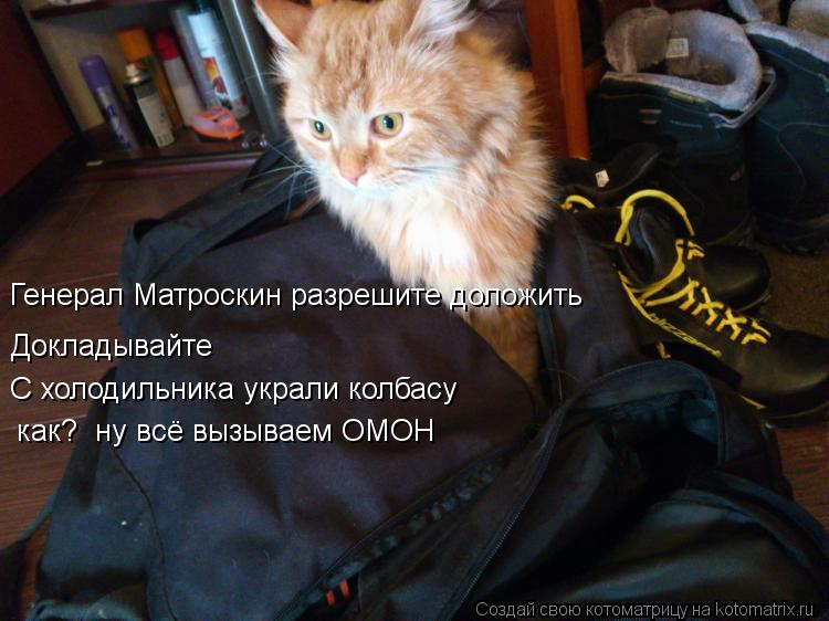 Генерал Матроскин разрешите доложить Докладывайте С холодильника украли колбасу как? ну всё вызываем... Котоматрица: Генерал Матроскин разрешите доложить Докладывайте С холодильника украли колбасу как? ну всё вызываем ОМОН