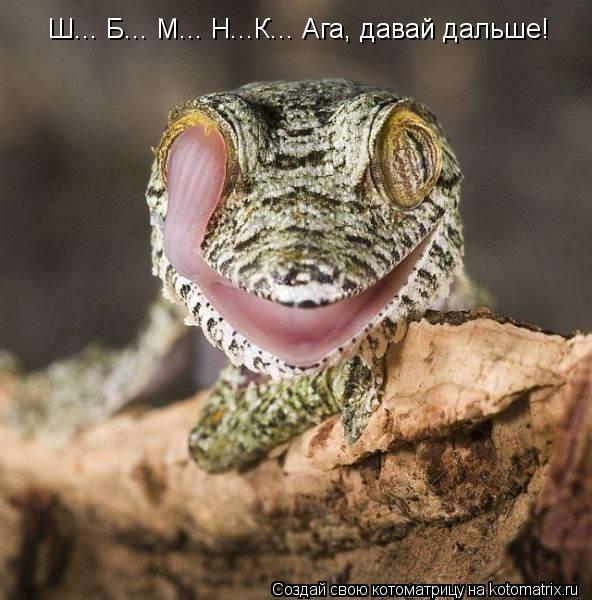 Ш... Б... М... Н...К... Ага, давай дальше!... Котоматрица: Ш... Б... М... Н...К... Ага, давай дальше!