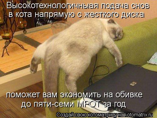Высокотехнологичныая подача снов в кота напрямую с жесткого диска поможет вам экономить на обивке до... Котоматрица: Высокотехнологичныая подача снов в кота напрямую с жесткого диска поможет вам экономить на обивке до пяти-семи МРОТ за год