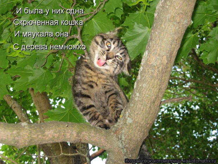 ...И была у них одна ...И была у них одна Скрюченная кошка И мяукала она С дерева немножко... Котоматрица: ...И была у них одна ...И была у них одна Скрюченная кошка И мяукала она С дерева немножко