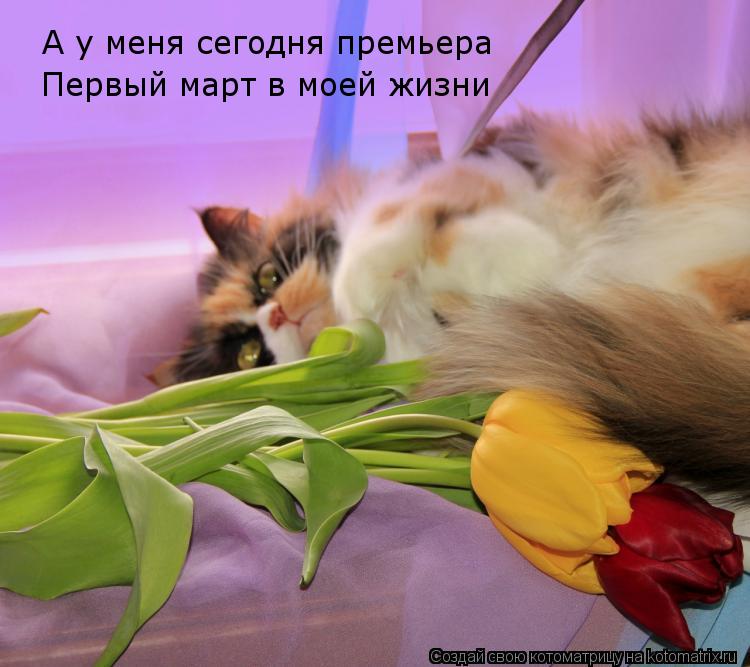 А у меня сегодня премьера Первый март в моей жизни... Котоматрица: А у меня сегодня премьера Первый март в моей жизни
