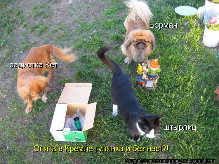 штырлиц радистка Кет Борман Опять в Кремле гулянка и без нас!?!... Котоматрица: штырлиц радистка Кет Борман Опять в Кремле гулянка и без нас!?!