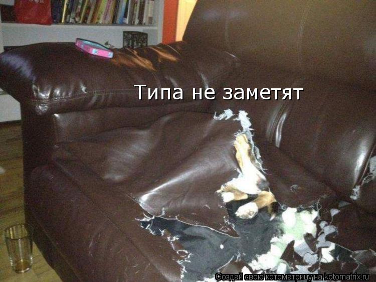 Типа не заметят... Котоматрица: Типа не заметят