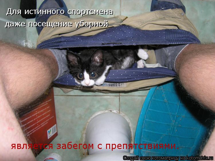 Для истинного спортсмена даже посещение уборной является забегом с препятствиями.... Котоматрица: Для истинного спортсмена даже посещение уборной является забегом с препятствиями.