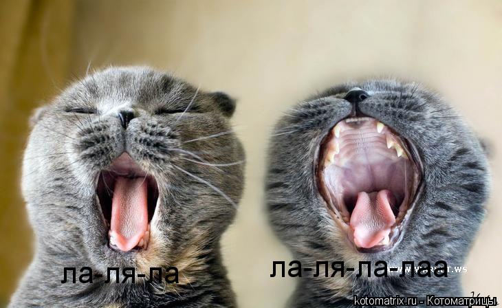 ла-ля-ла ла-ля-ла-лаа... Котоматрица: ла-ля-ла ла-ля-ла-лаа