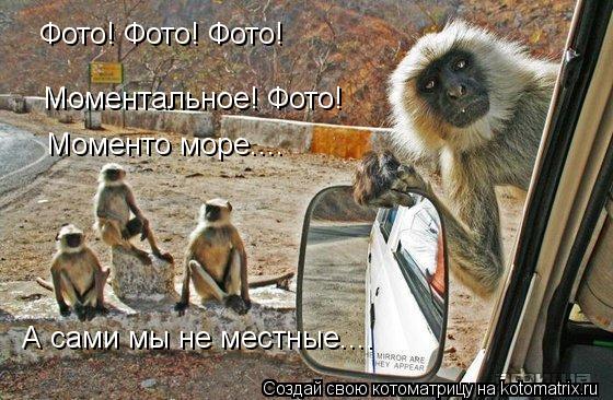 Фото! Фото! Фото! Моментальное! Фото! Моменто море.... А сами мы не местные....... Котоматрица: Фото! Фото! Фото! Моментальное! Фото! Моменто море.... А сами мы не местные....