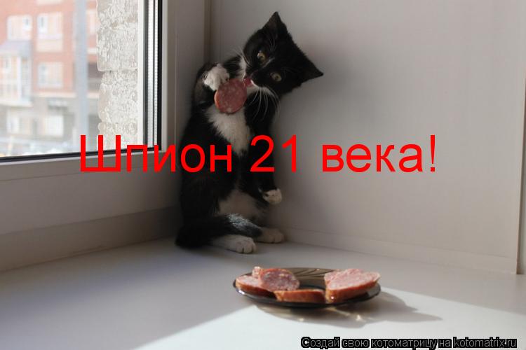 Шпион 21 века!... Котоматрица: Шпион 21 века!