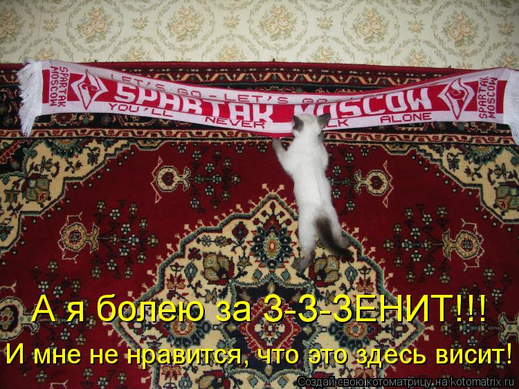 А я болею за З-З-ЗЕНИТ!!! И мне не нравится, что это здесь висит!... Котоматрица: А я болею за З-З-ЗЕНИТ!!! И мне не нравится, что это здесь висит!