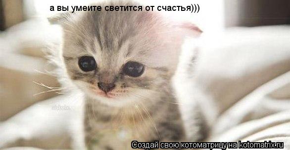 а вы умеите светится от счастья)))... Котоматрица: а вы умеите светится от счастья)))