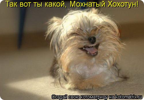 Так вот ты какой, Мохнатый Хохотун!... Котоматрица: Так вот ты какой, Мохнатый Хохотун!