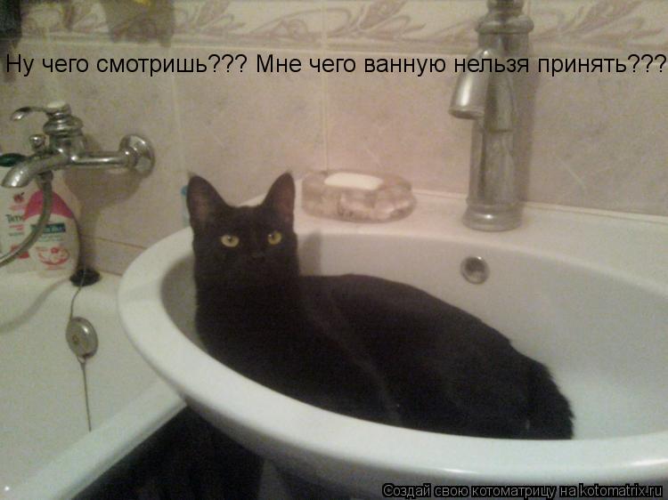 Ну чего смотришь??? Мне чего ванную нельзя принять???... Котоматрица: Ну чего смотришь??? Мне чего ванную нельзя принять???