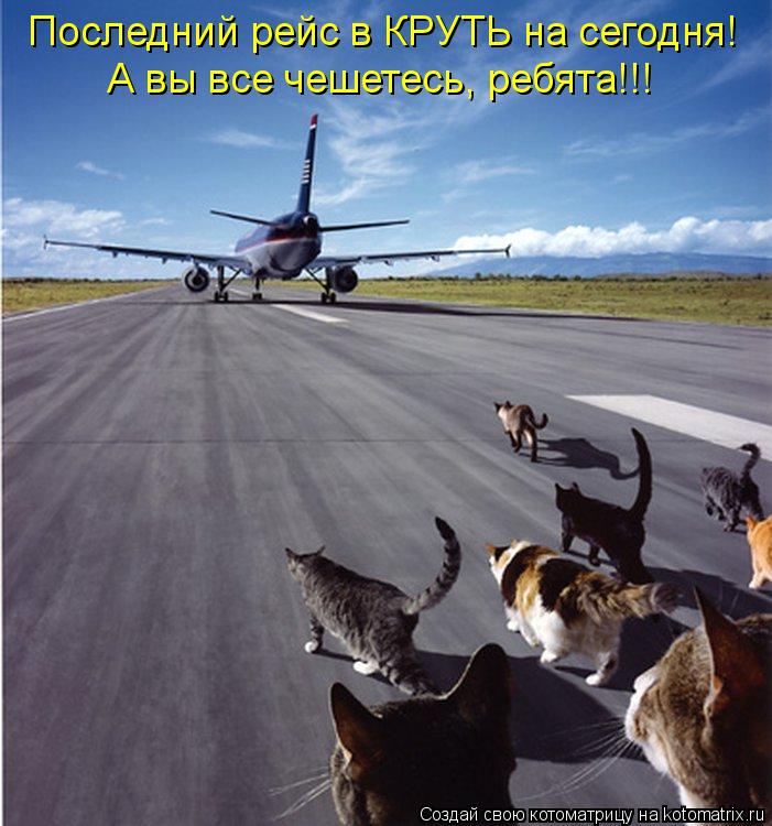 Последний рейс в КРУТЬ на сегодня! А вы все чешетесь, ребята!!!... Котоматрица: Последний рейс в КРУТЬ на сегодня! А вы все чешетесь, ребята!!!