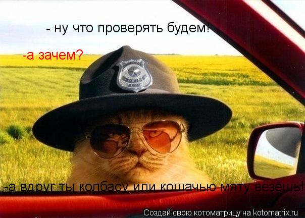 ну что проверять будем! - -а зачем? -а вдруг ты колбасу или кошачью мяту везёшь!... Котоматрица: ну что проверять будем! - -а зачем? -а вдруг ты колбасу или кошачью мяту везёшь!