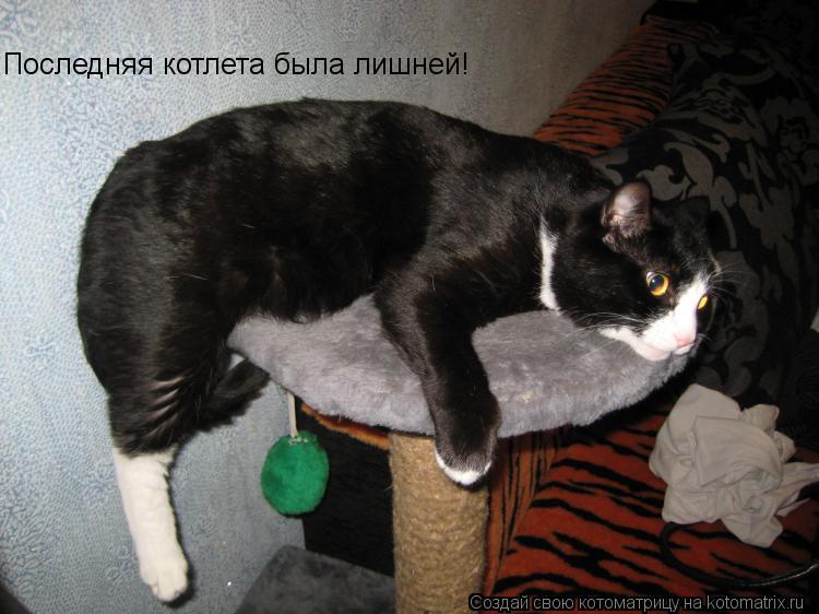 Последняя котлета была лишней!... Котоматрица: Последняя котлета была лишней!