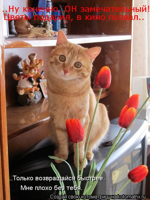 ..Ну конечно, ОН замечательный! Цветы подарил, в кино позвал.. ..Только возвращайся быстрее. Мне плох... Котоматрица: ..Ну конечно, ОН замечательный! Цветы подарил, в кино позвал.. ..Только возвращайся быстрее. Мне плохо без тебя.