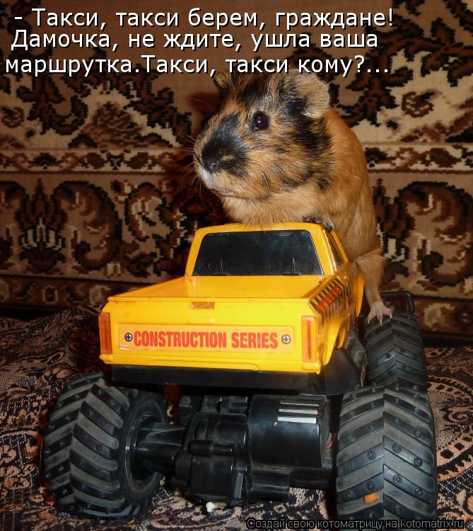 - Такси, такси берем, граждане! Дамочка, не ждите, ушла ваша маршрутка.Такси, такси кому?...... Котоматрица: - Такси, такси берем, граждане! Дамочка, не ждите, ушла ваша маршрутка.Такси, такси кому?...