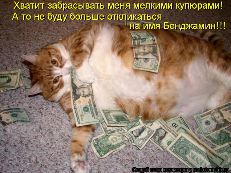 Хватит забрасывать меня мелкими купюрами! А то не буду больше откликаться на имя Бенджамин!!!... Котоматрица: Хватит забрасывать меня мелкими купюрами! А то не буду больше откликаться на имя Бенджамин!!!