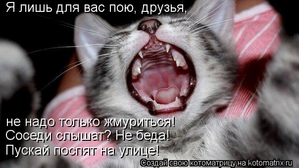 Я лишь для вас пою, друзья, не надо только жмуриться! Пускай поспят на улице! Соседи слышат? Не беда!... Котоматрица: Я лишь для вас пою, друзья, не надо только жмуриться! Пускай поспят на улице! Соседи слышат? Не беда!