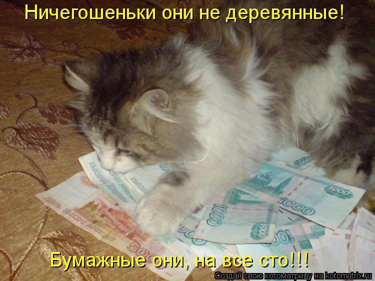 Ничегошеньки они не деревянные! Бумажные они, на все сто!!!... Котоматрица: Ничегошеньки они не деревянные! Бумажные они, на все сто!!!