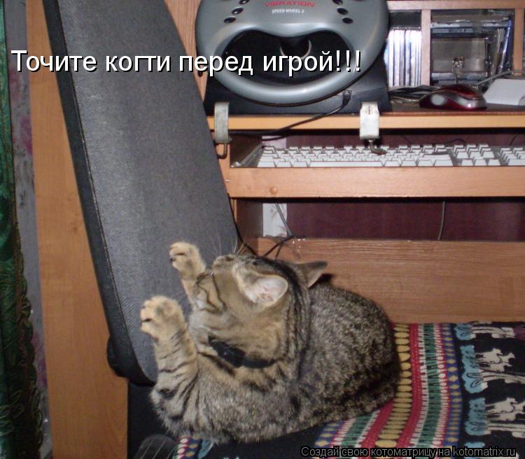 Точите когти перед игрой!!!... Котоматрица: Точите когти перед игрой!!!