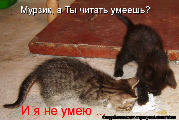 Мурзик, а Ты читать умеешь? И я не умею ...... Котоматрица: Мурзик, а Ты читать умеешь? И я не умею ...