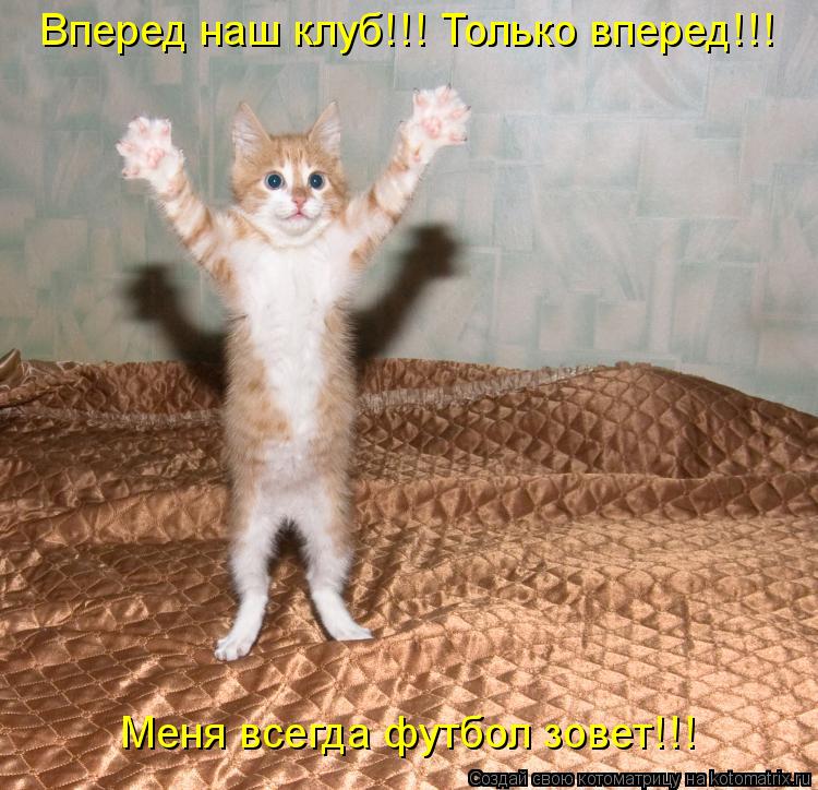 Вперед наш клуб!!! Только вперед!!! Меня всегда футбол зовет!!!... Котоматрица: Вперед наш клуб!!! Только вперед!!! Меня всегда футбол зовет!!!